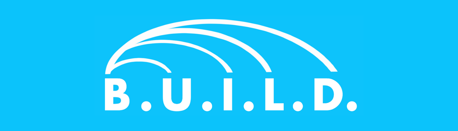 BUILD - Building, Understanding, Informing, Leading, and Developing