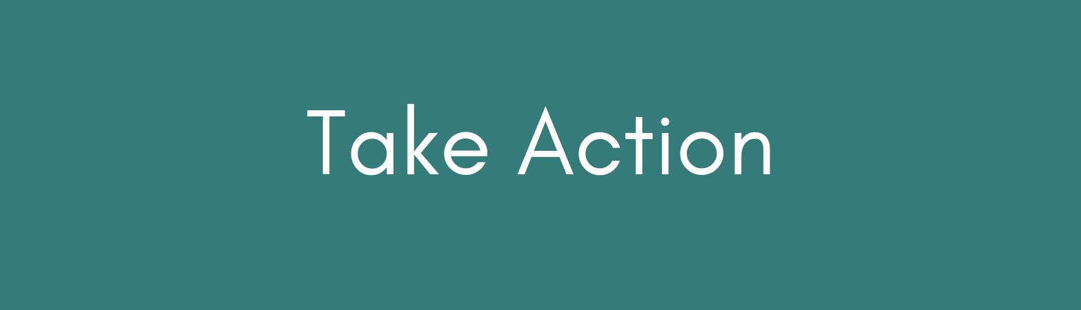 Racial Equity - Take Action