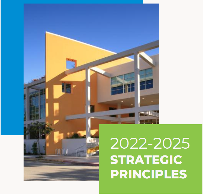 Strategic Principles