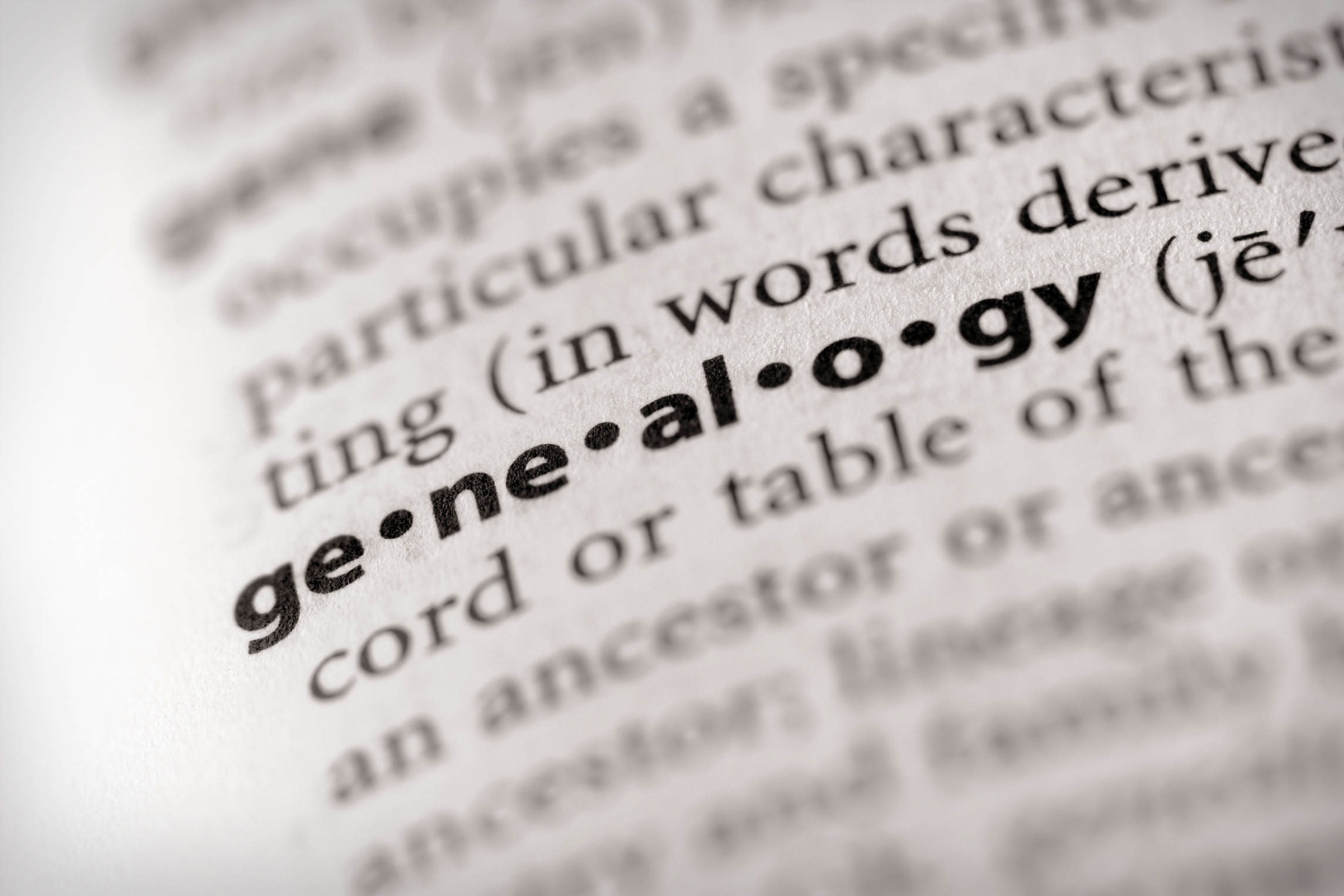 Decorative - Dictionary Definition of 'Genealogy'