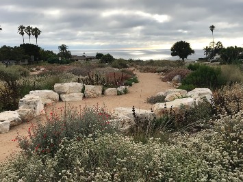 Beautify Lunada Bay 