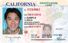 California Id Card