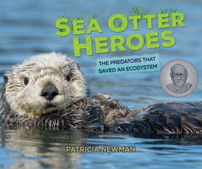 Sea Otter Heroes - the Predators That Saved an Ecosystem