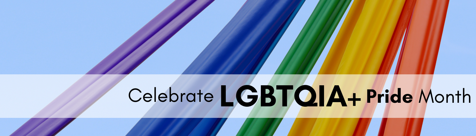 LGBTQIA+ Month Slide